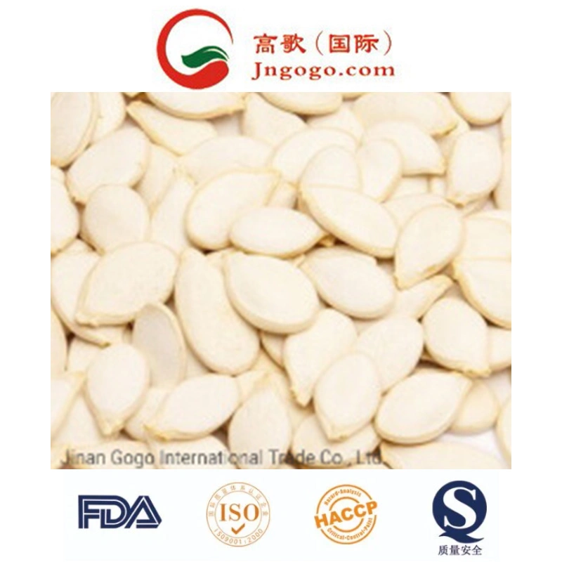 Top Quality Snow White Pumpkin Seeds From China