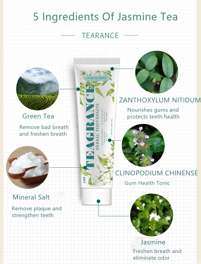 170g Good Taste Wholesale/Supplier Daily Using Herbs Toothpaste