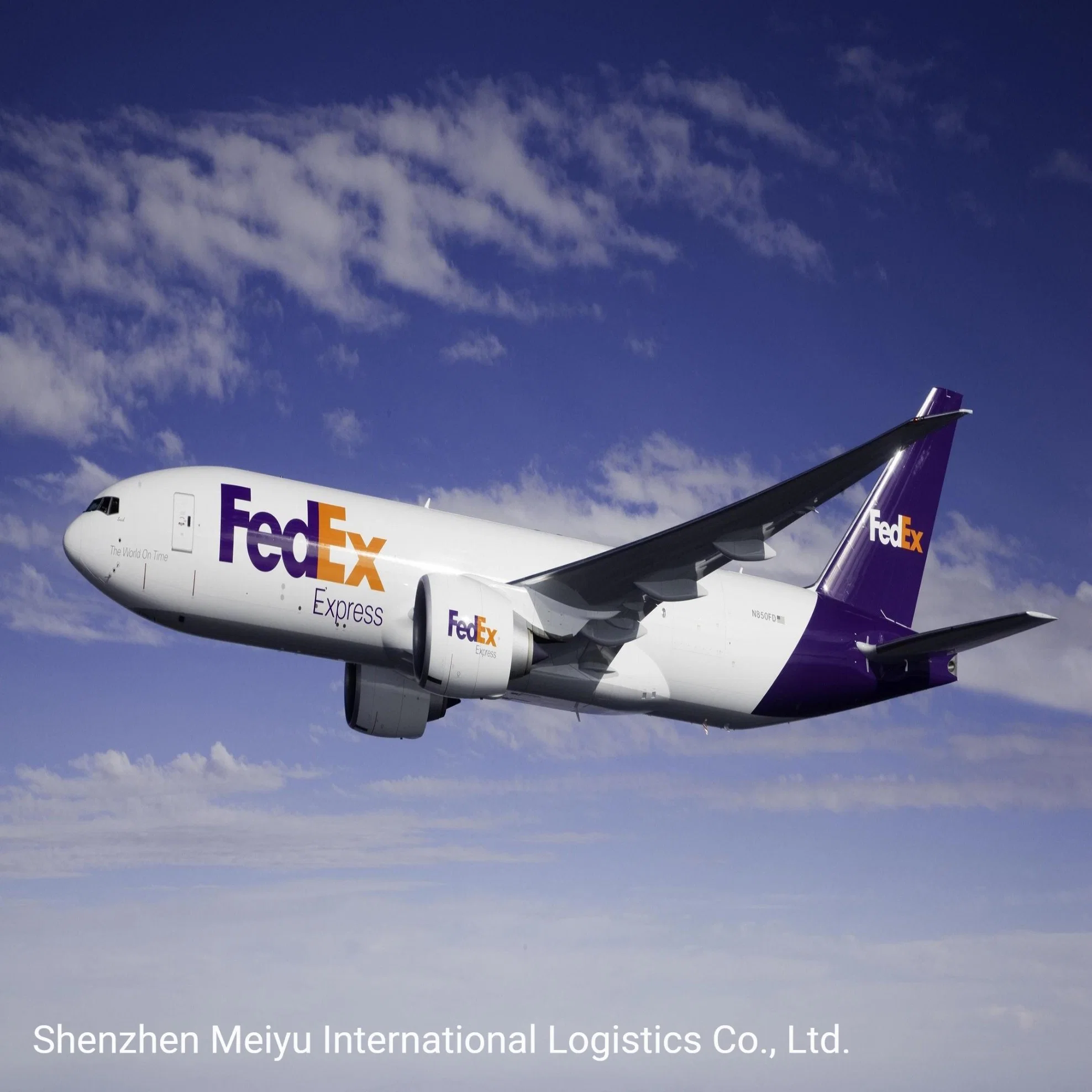 Agente de envío profesional de DHL/FedEx/UPS/TNT desde China a todo el mundo