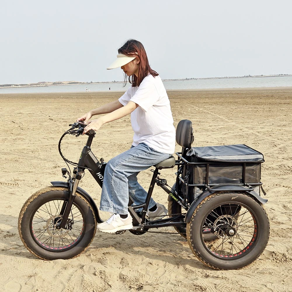 Ultra-Light Electric Cargo Bike 48V 250W 350W 500W 750W Motor Electric Trike