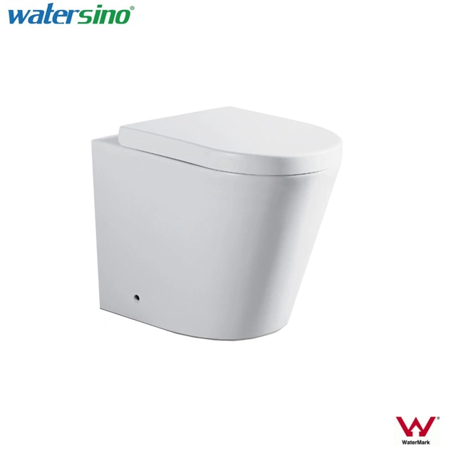 Watermark Dual Flushes Floor Standing Two Pieces Ceramic Toilet