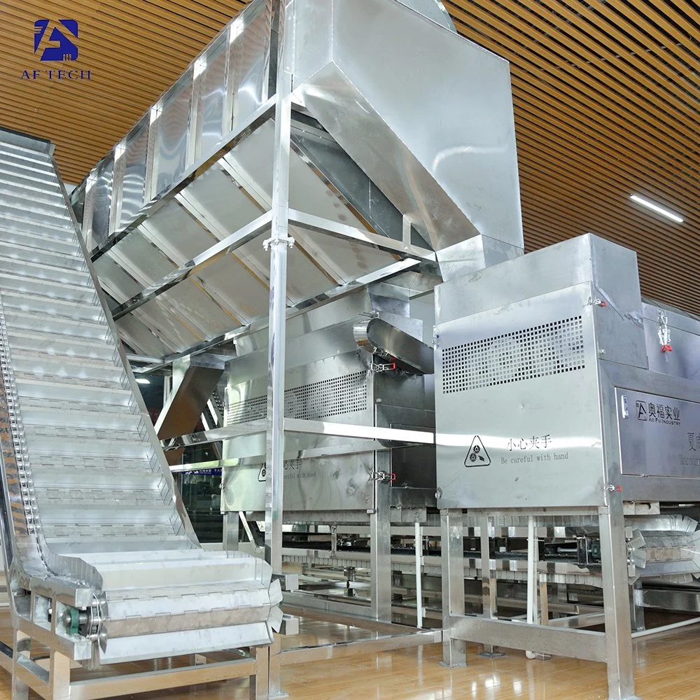 Intelligent Macadamia Nuts Fruit Peeling Cleaning Grading Drying Production Line