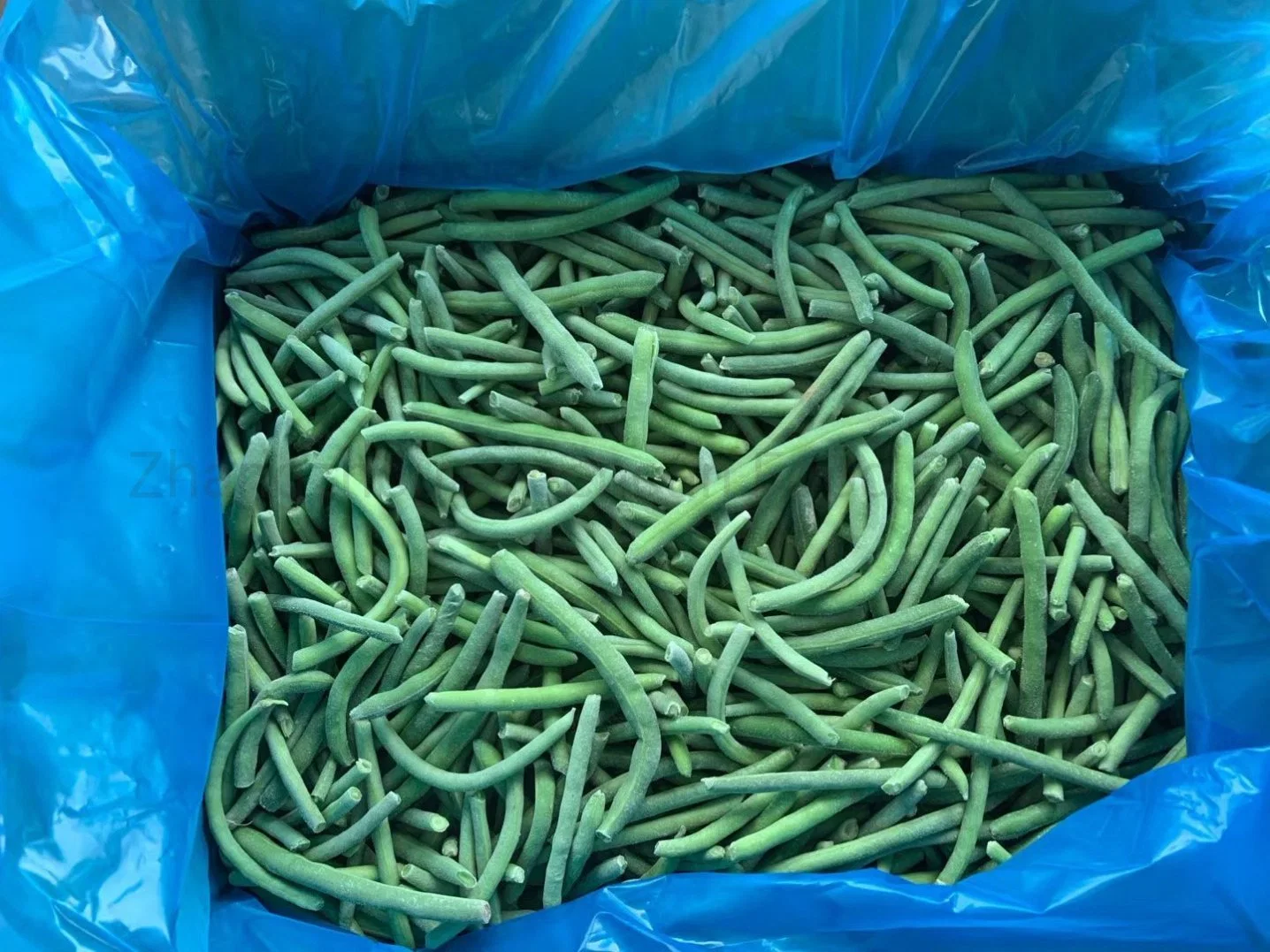 Greencan Vegetables IQF Green Beans Frozen Cut Green Beans