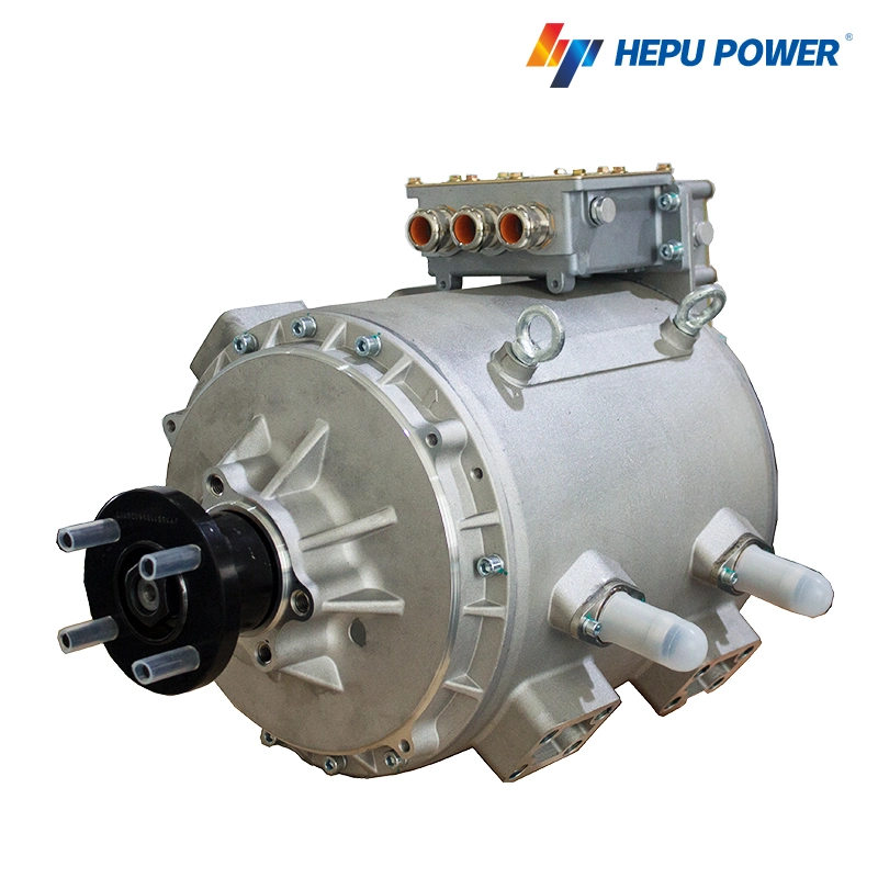 45kw Permanent Magnet Motor for Compact Pure Electric Vehicle