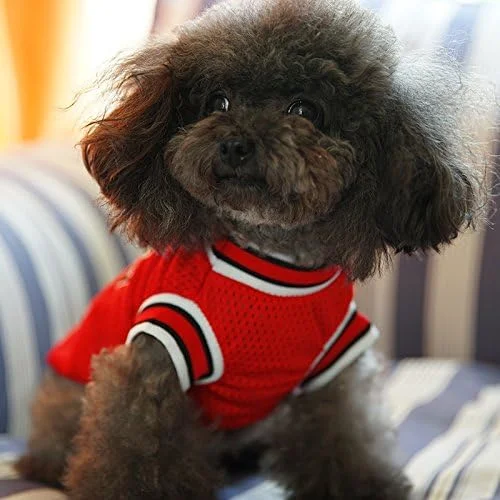 Pet Sport Outdoor Shirt Breathable Dog Cloth Custom Wholesale/Supplier Doggy Outfit Apparel