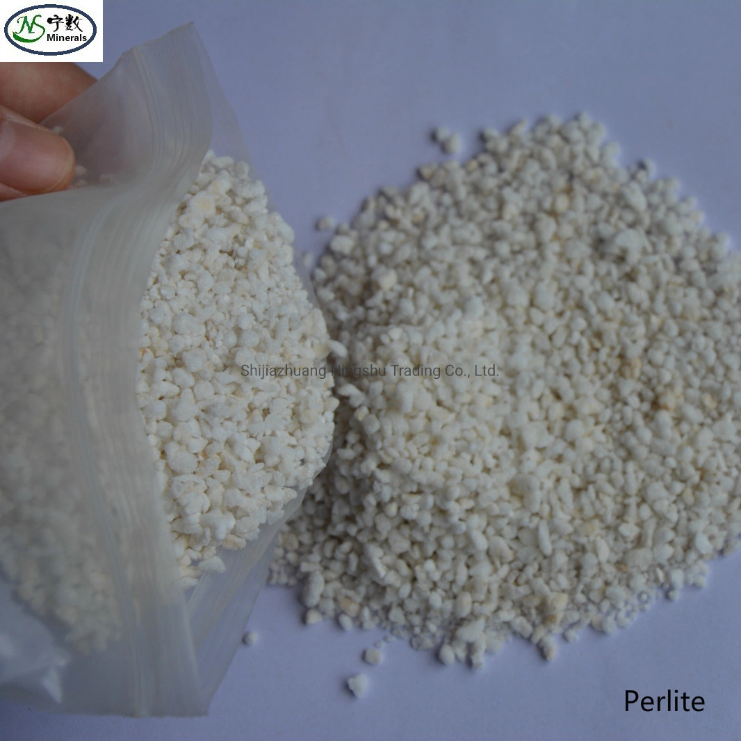 Natural Organic Perlite - Enhanced Drainage for Best Growing