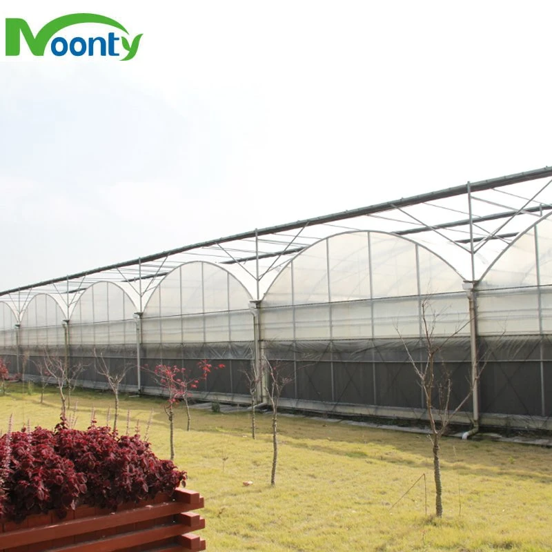 Factory Price Round Roof Multi-Span PE/Po Film Greenhouse for Vegetable/ Flower/ Herb Growing