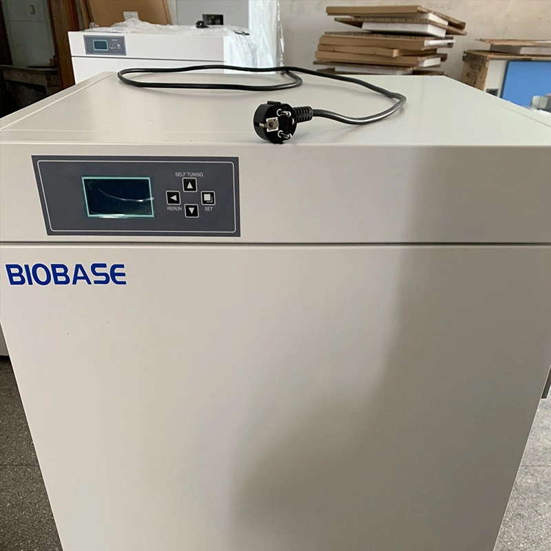 Biobase China Constant-Temperature Incubator in Stock