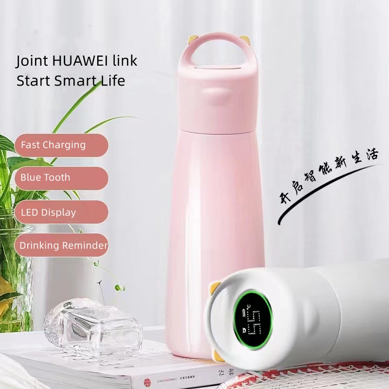 Time Setting Remind Drinking Keep Hydration Smart Bottle with Timer Fast Charging