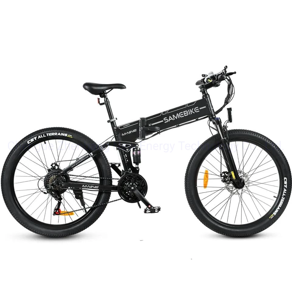 Latest Lo26-II-FT 750W Huge Power Electric Bike High Speed 48V12.4ah Lithium Battery E-Bike