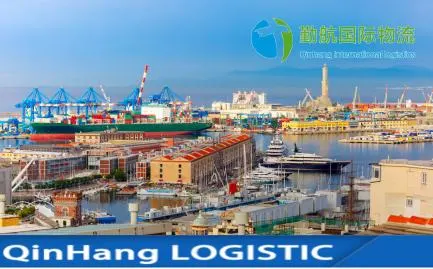 Reliable Cheap Professional Sea Cargo Freight Service Shipping Agent From Shenzhen/Ningbo/Shanghai/HK to Chile etc Worldwide