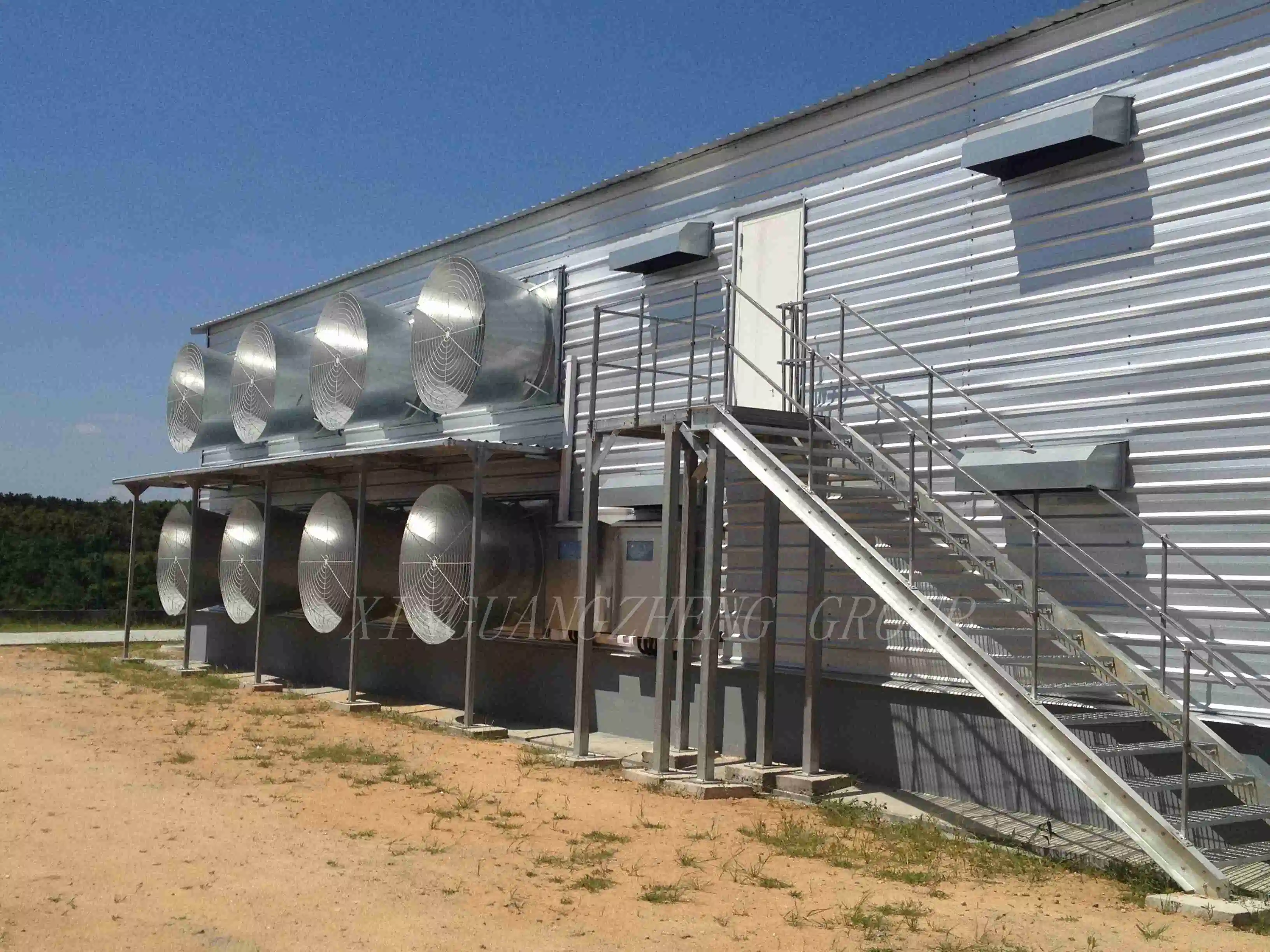 Prefabricated Light Weight Steel Structure Frame Livestock Poultry Chicken Farm