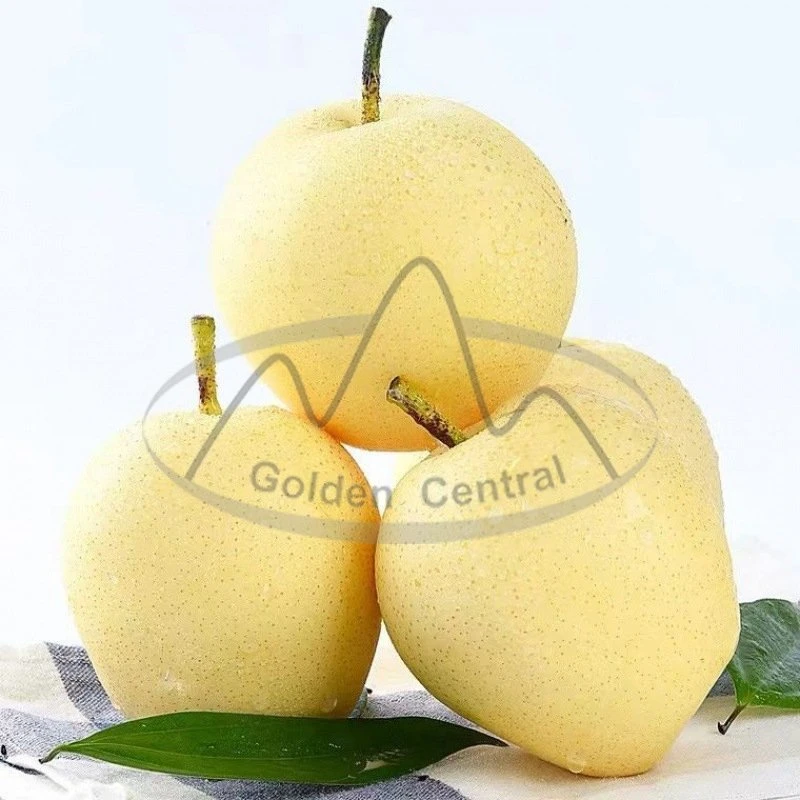 Chinese Sweet Juicy Crown Pear From Shandong