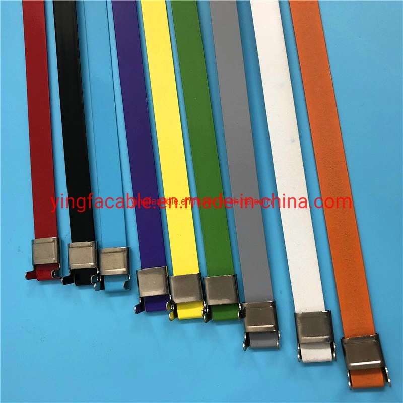 Various Colors Epoxy Coated Stainless Steel Belt /PVC Cated / PPA571 / Nylon 11