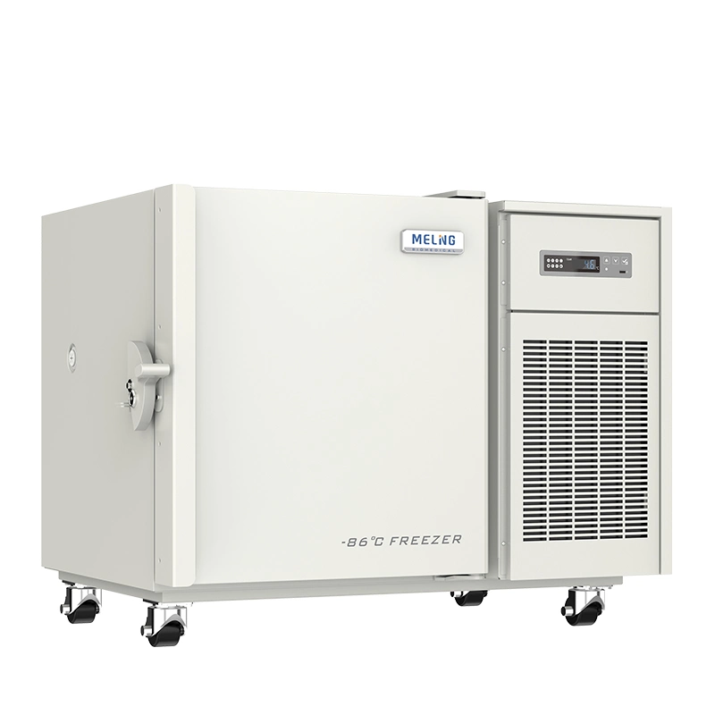 CE Confirmed Top Quality Ultra Low Temperature Refrigerator with Secop Compressor and Coil Tube Evaporator (DW-HL100HC)