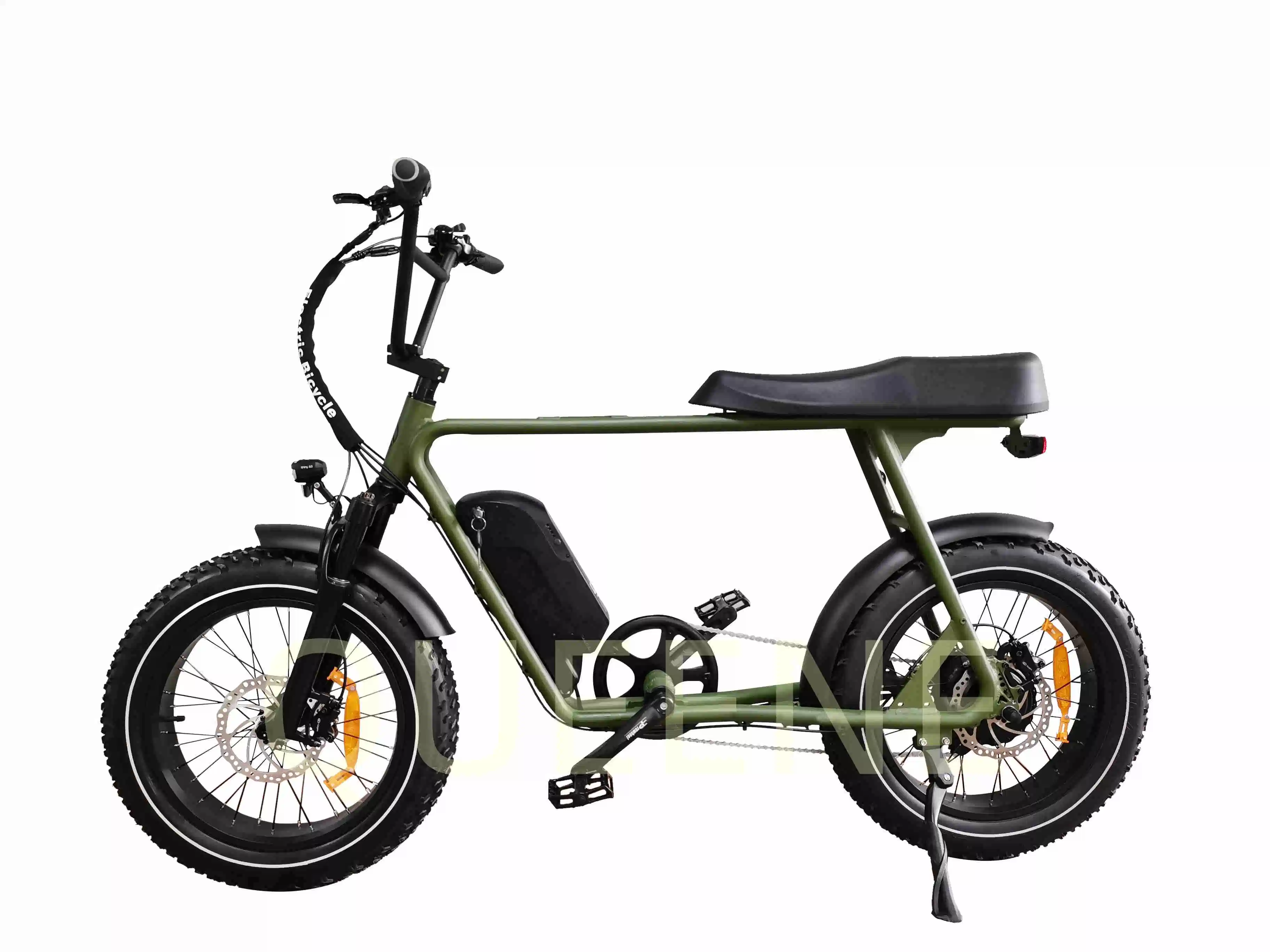 Queene/estilo retro CE aprobó la suspensión de doble de 1000W 20ah neumático Fat Bicicleta eléctrica