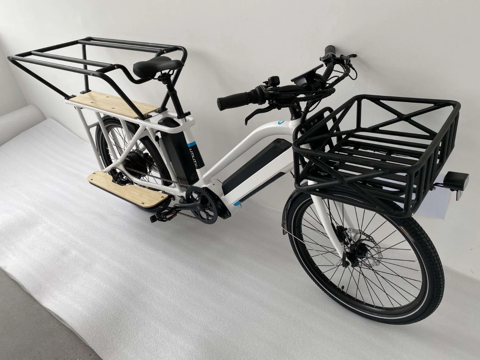 Latest Utility CE Certification 250W 500W 750W Electric Cargo Ebike for Family