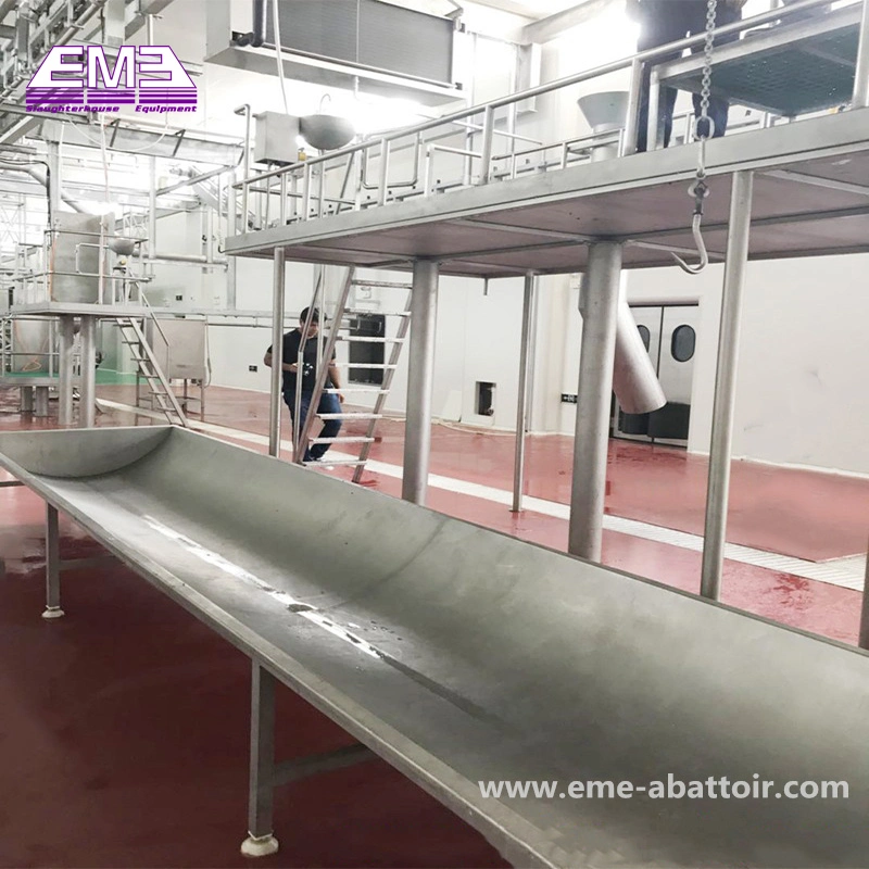 Hot Sale Cattle Blood Collection Chute Abattoir Machine for Slaughterhouse Equipment