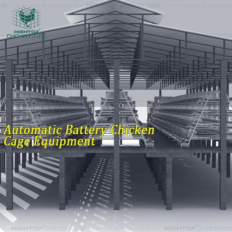 Industrial Automatic A Type Battery Layers Cage Poultry Equipment