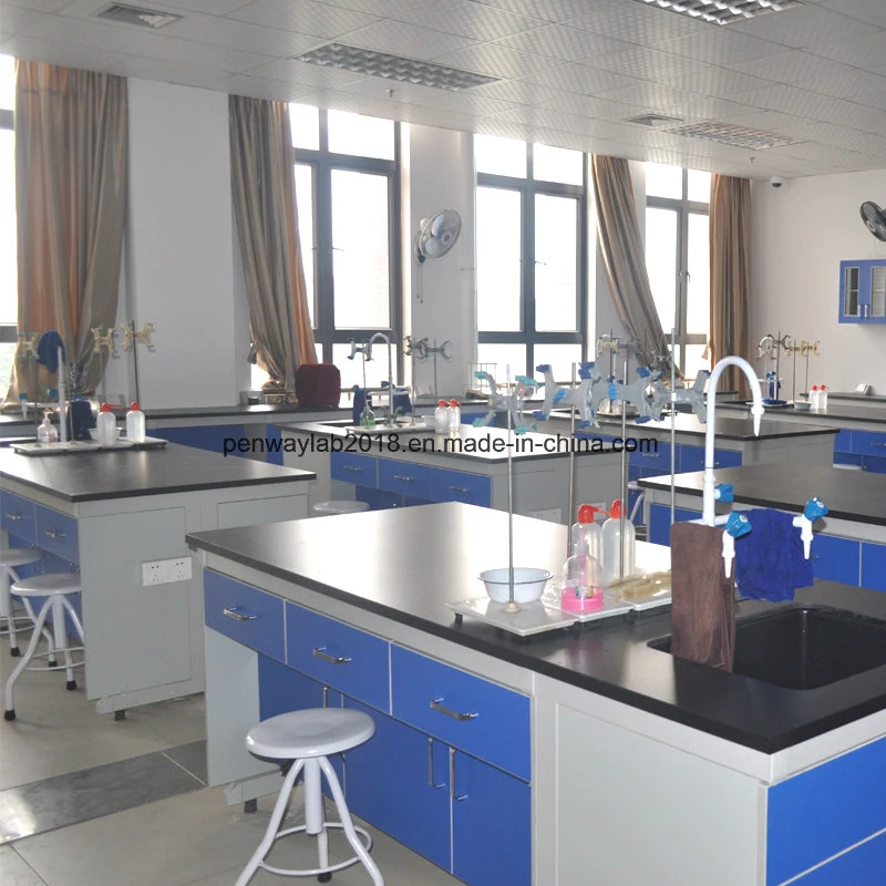 Utilisé à l'école Mobilier de laboratoire de chimie École de mobilier de laboratoire
