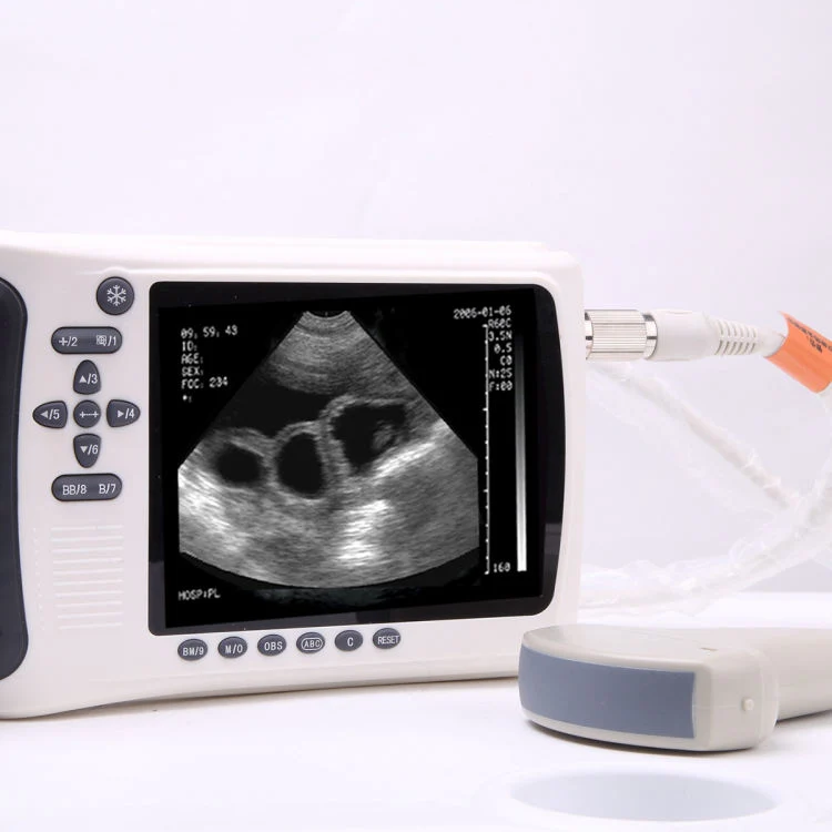 Affordable and Efficient Vet Ultrasound for Veterinary Animal Clinics & Hospitals