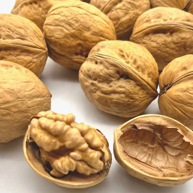 Chinese High quality/High cost performance Walnuts in Shell Paper Shell Walnuts