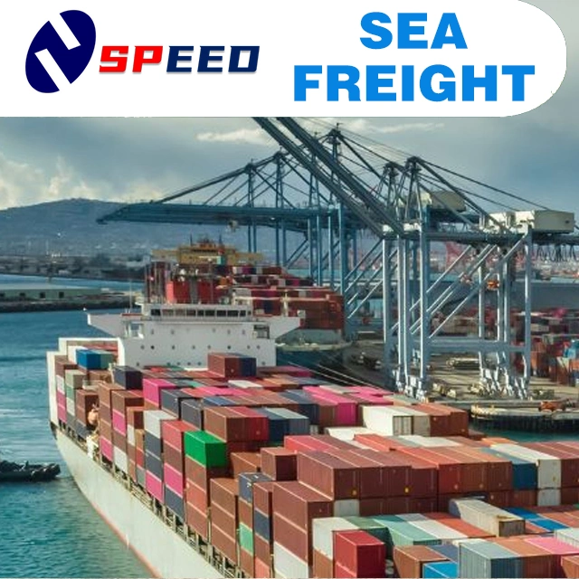 Lnternational Logistics Sea Freight Shipping Cheap Goods From China to France, Germany, Italy Port DDU DDP Service