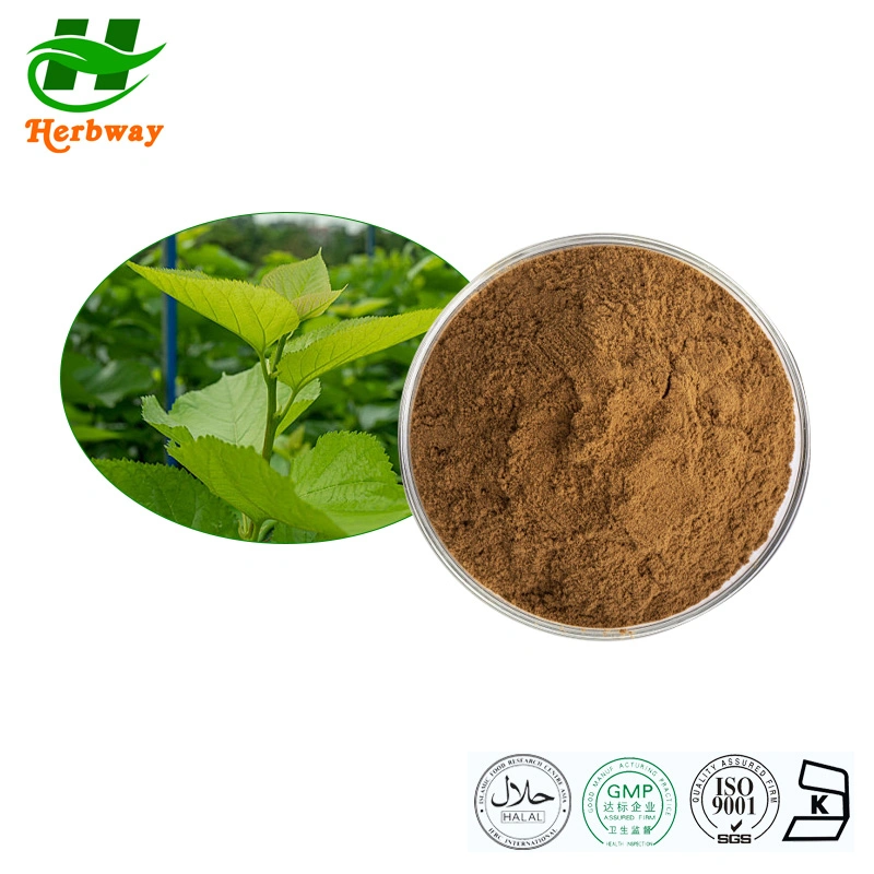 Herbway Herb Extract Health Care Product Mulberry Leaf Powder/Mulberry Extract