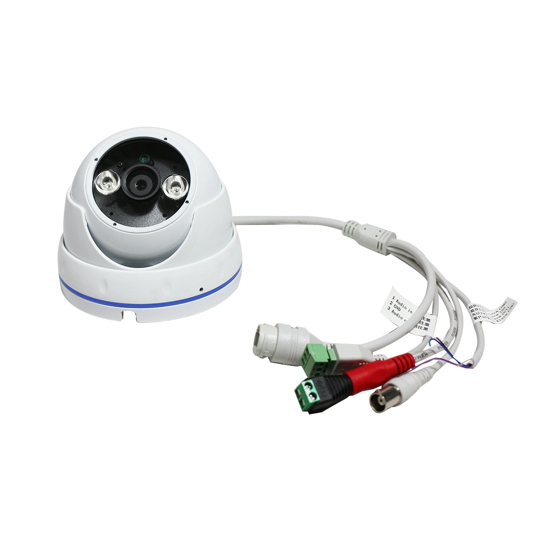 Profesional de alta resolución eco sistema PA IP SIP Cámara IP de seguridad de red de alta velocidad de la cámara domo de infrarrojos con un alto rendimiento
