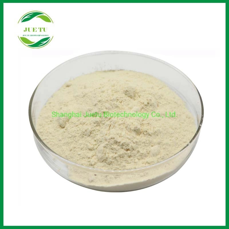 Halal Kosher Wholesale/Supplier Price of Bulk API/Drilling/Cosmetci/Food Grade Thickener E415 Xanthan Gum