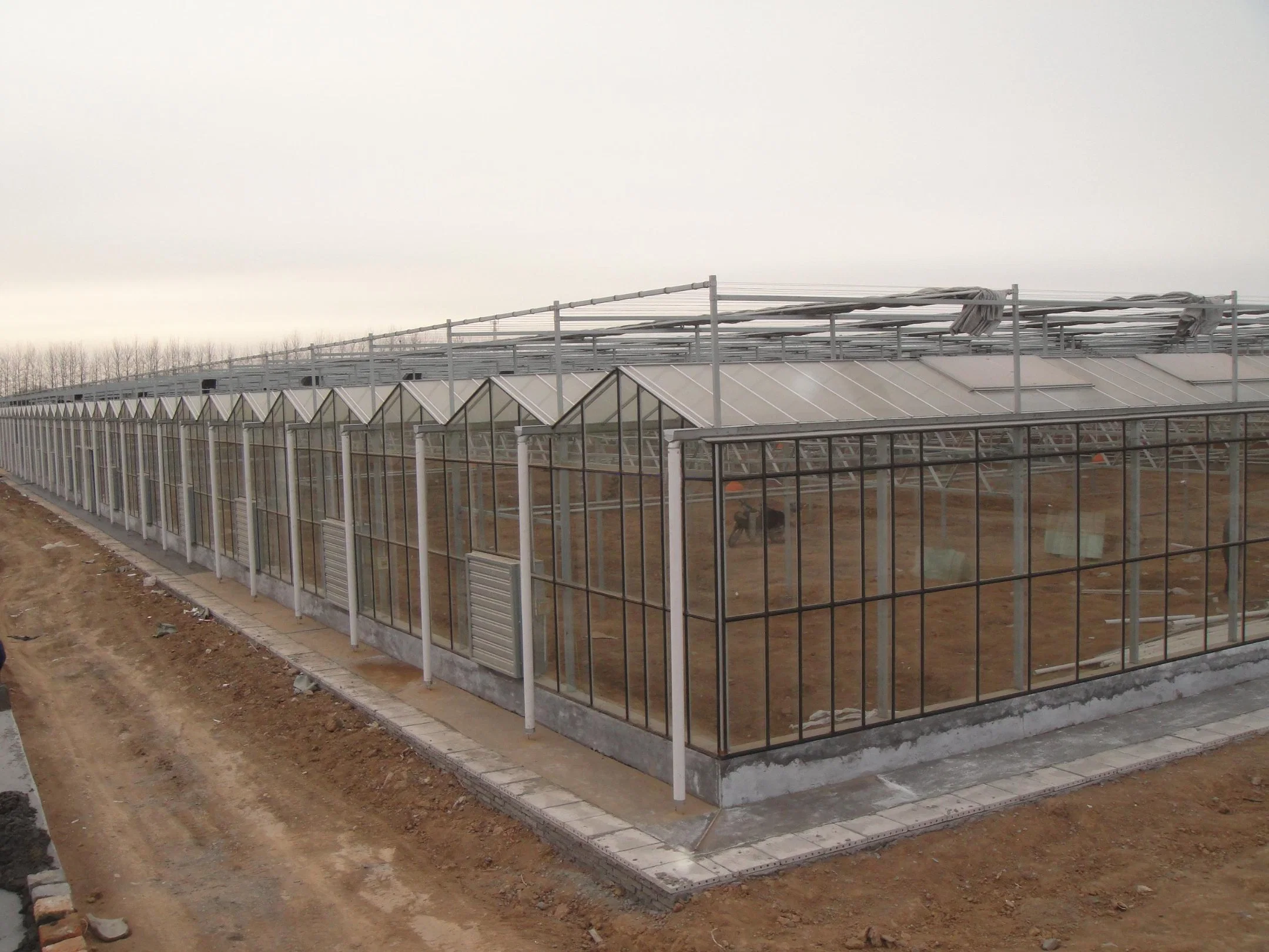 Modern Agriculture Multi-Span Customized Glass Greenhouse with Cooling System Heating System for Vegetables Fruits Flowers Tomato