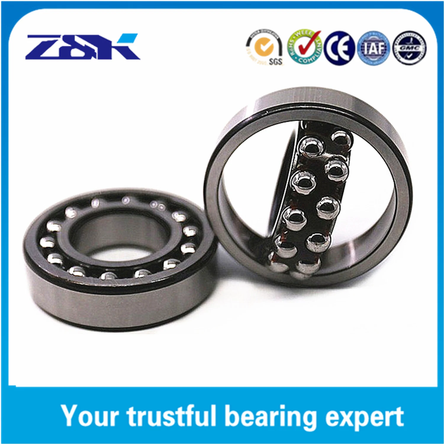 Electric Scooter Parts Tatra Spare Parts Sprag Clutch Bearing