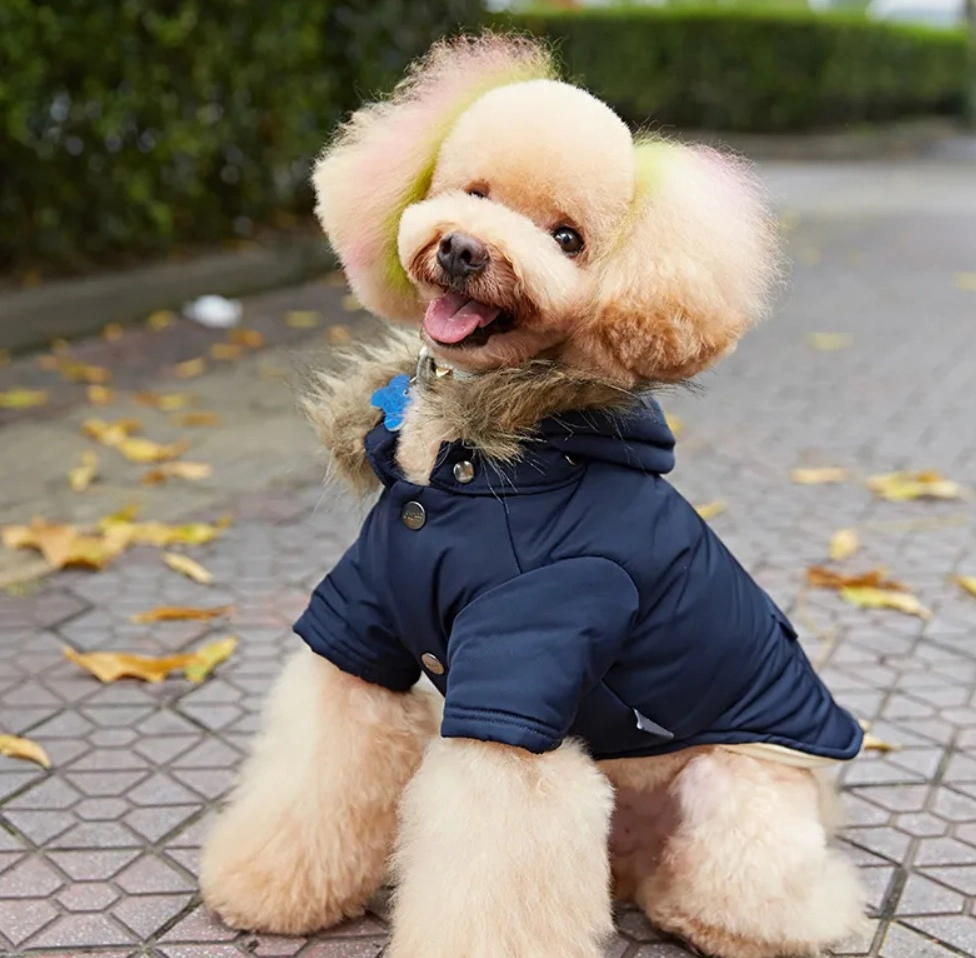 Pets Winter Clothing Dog Jackets Cotton Lining Down Coats Warm Dog Clothes