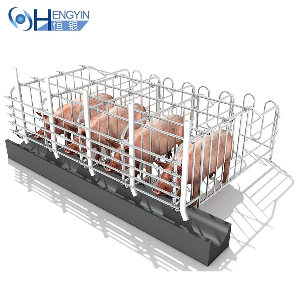 Automatic Feeding Trough Chain Feeding System Livestock Feed Trough