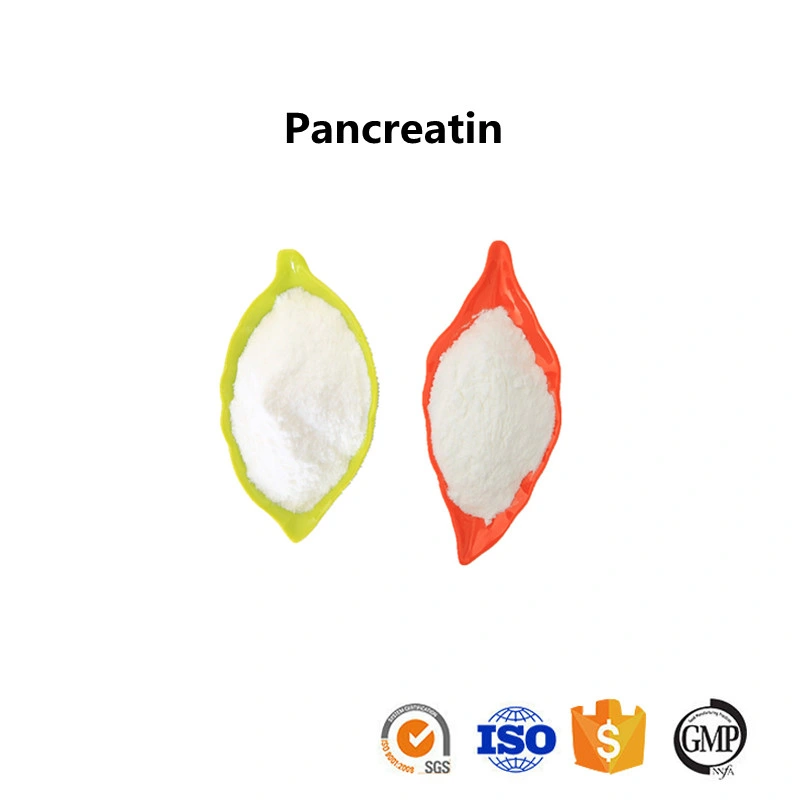 Medical Grade Material Pancreatin for Digestion with GMP Certificate