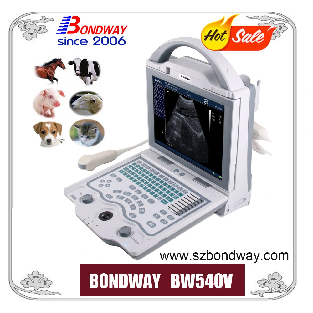 Doppler Ultrasound System for Veterinary with Backlit LED Display