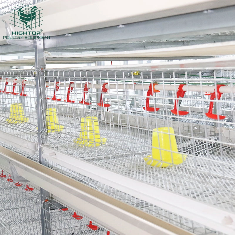 Granja de Aves de Corral de Pollos galvanizado en caliente de la batería automático bastidor H granja avícola de la jaula de pollo