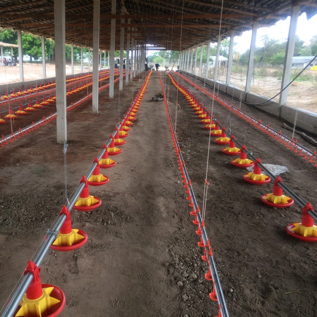 Alimentador automático de las aves de corral pollo broiler para avicultura Equipo