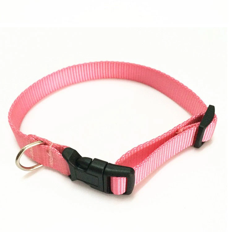 Custom High quality/High cost performance Nylon Dog Collars