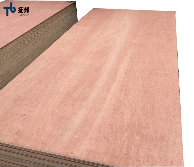 Poplar Okoume/ Bintangor/ Birch Veneered Commercial Plywood