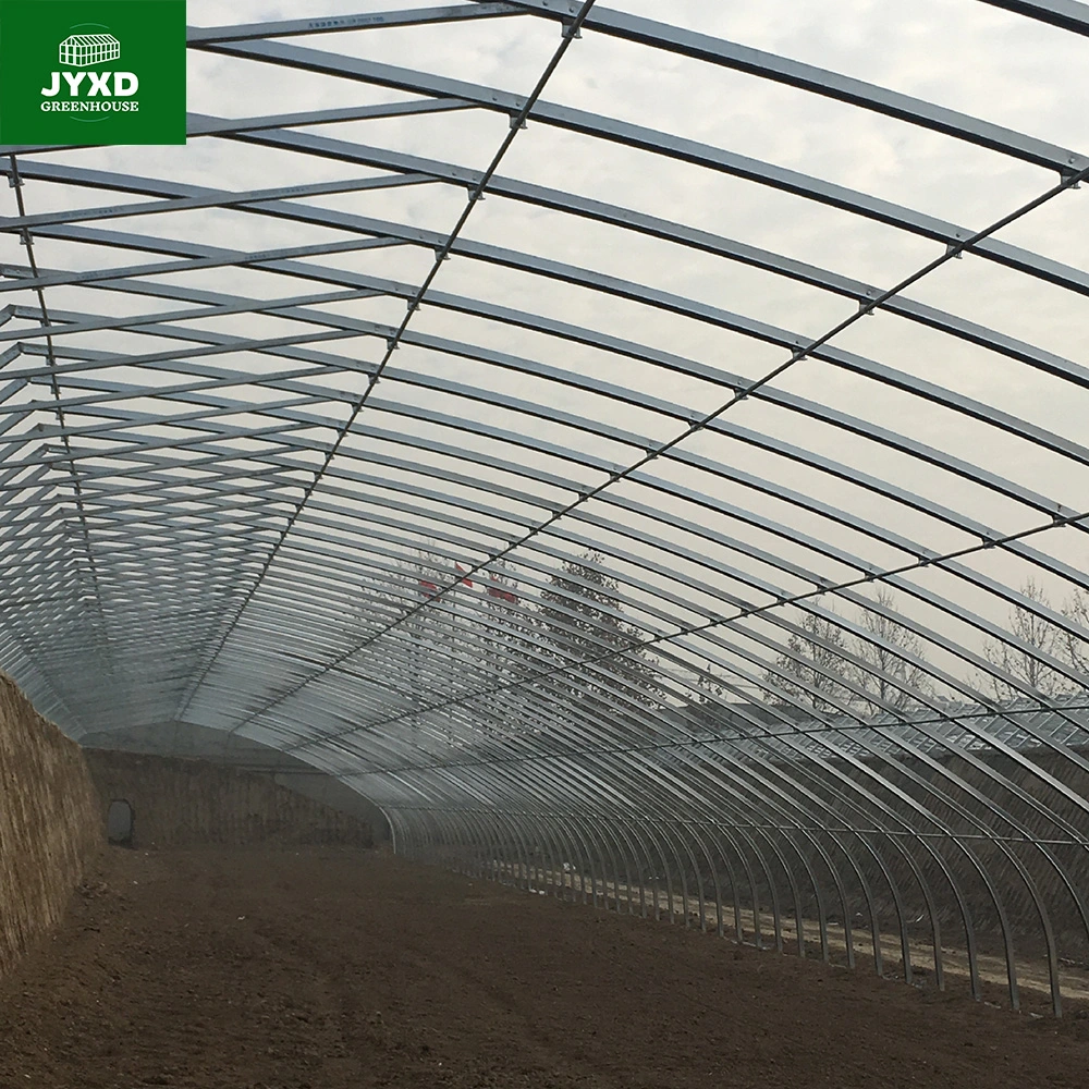 Modern U Section Frame Agricultural Greenhouse with Film-Rolling System for Fruit/Vegetable/Flower/Tomato/Pepper/Strawberry/Blueberry