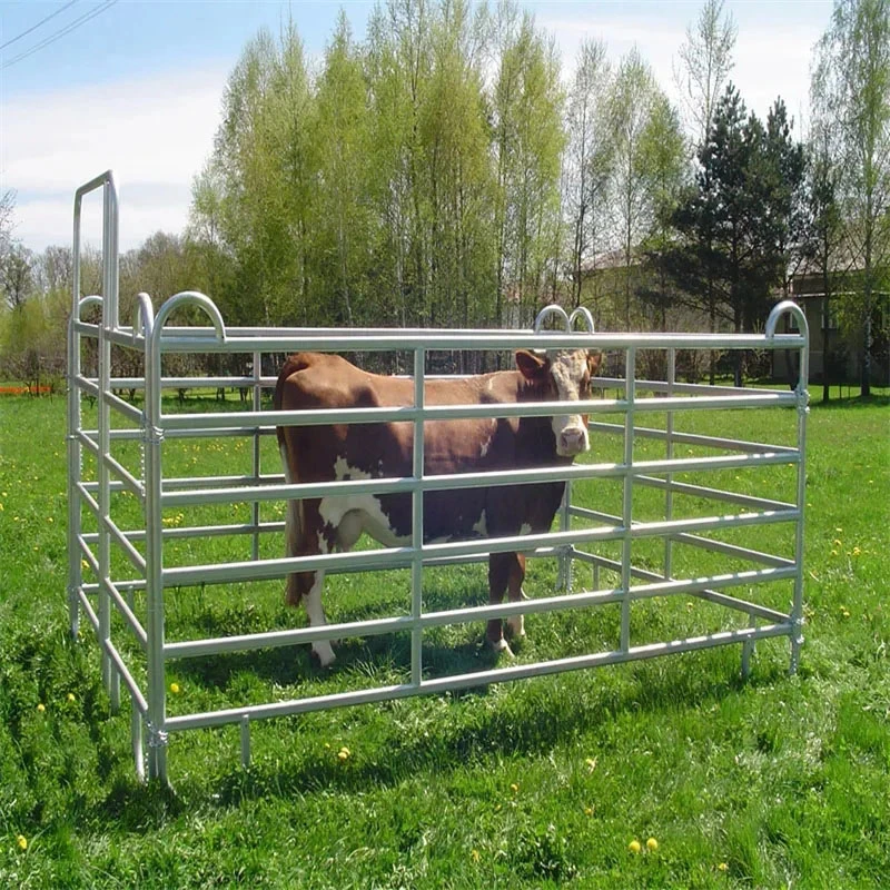 Las Ventas de Campo ganadero de metal caliente cerca de la granja de ganado ovino de la puerta de la vaca o cabra caballo