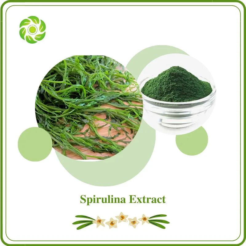 Una muestra gratis Spirulina 10: 1 polisacáridos (PSP) 10-70% de los β -caroteno aditivo alimentario piel agente acondicionador proteínas de la Chlorella Spirulina Extracto de la vitamina