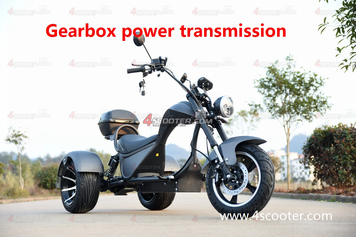 New Solar 3000W 4000W 5000W Electro Dual Motor Adult Electric 3 Wheel Scooters