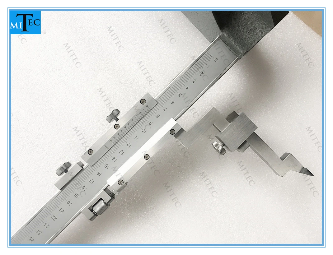 La precisión de acero inoxidable de alto Calibre Vernier Calibrador 0-800mm