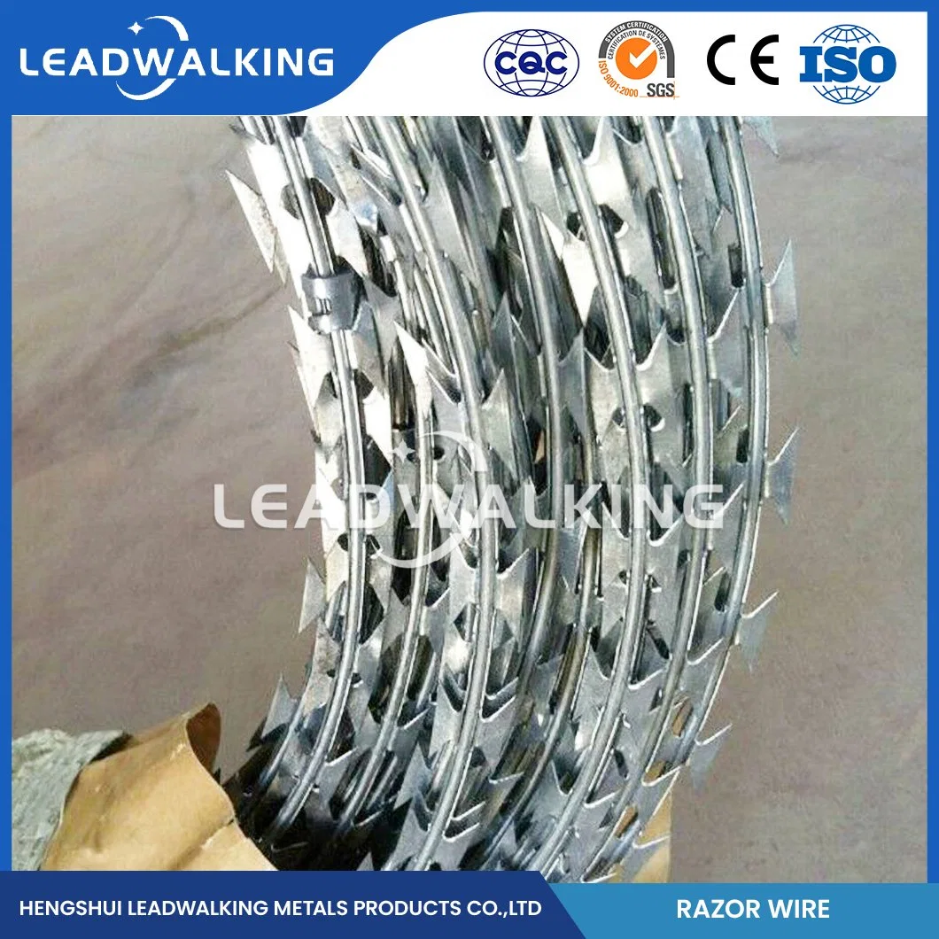 Leadwalking Tiger Tape Razor Wire Fabricators 60mm Needle Spacing Cross Navaja alambre de barbed China 6mm diámetro mejor alambre de la navaja