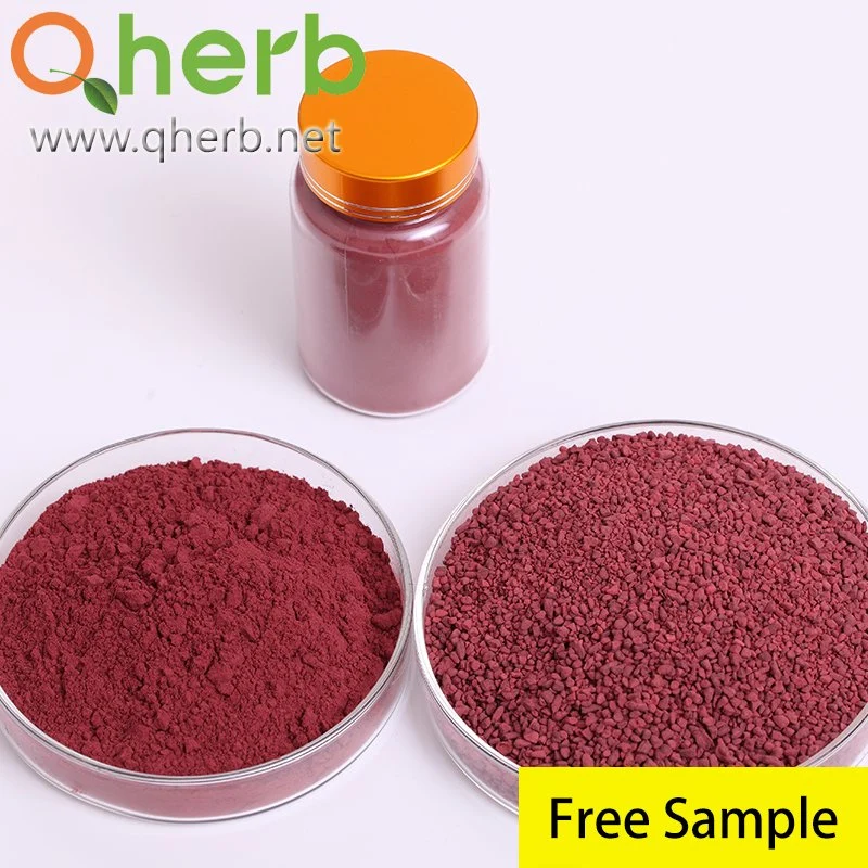 Matérias corantes naturais Agent Aditivo alimentar Monascus Red Monascus Purpureus Fermentação Red fermento em pó de arroz