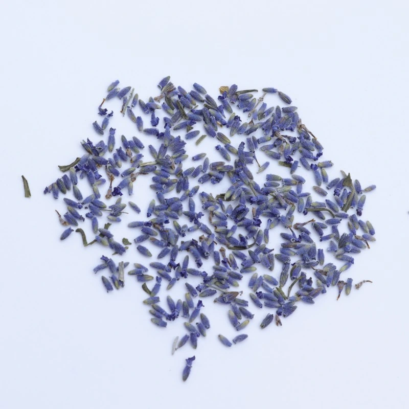 Hot Sale Lavender Tea Air Dried Quality Lavender Buds for Beauty & Health