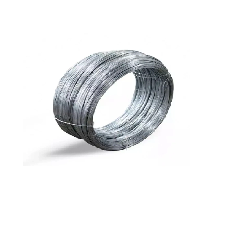 Flexible 304 316 1mm 2mm 3mm Stainless Steel Soft Wire