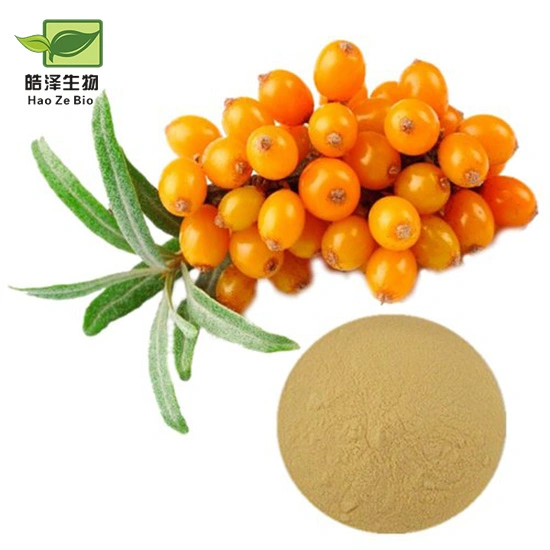 Anti-Tumor Seabuckthorn Natural Extrato de Frutas em pó Extrato Seabuckthorn Sea-Buckthorn